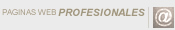 Paginas Web Profesionales, Dise�o y desarrollo de Paginas Web, Programacion de Bases de Datos, Dise�o y publicidad en linea